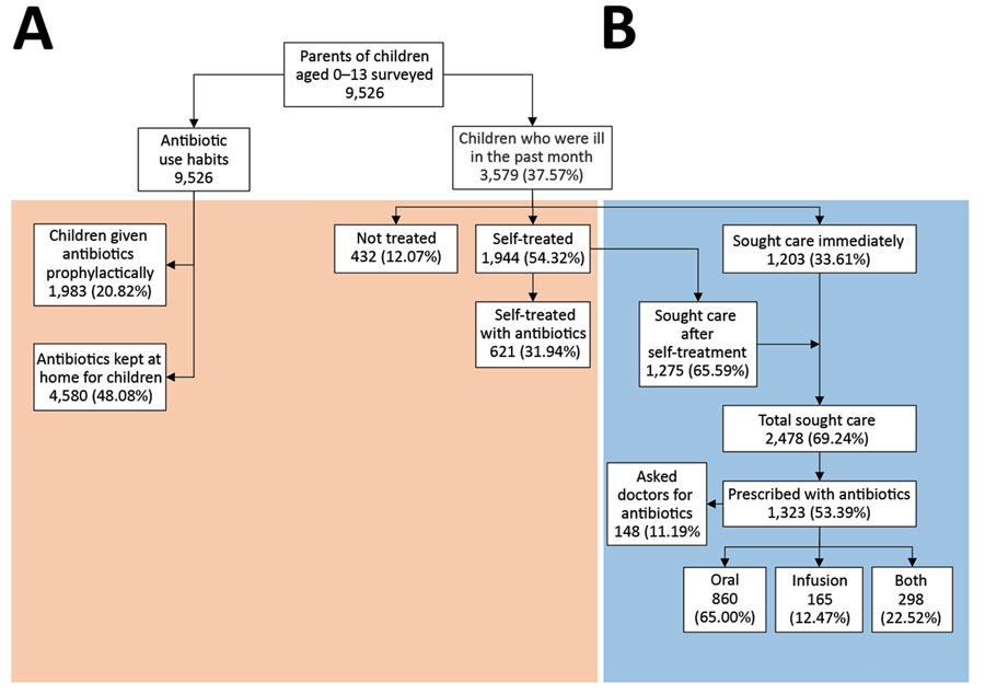 Use of antimicrobial drugs (antibiotics) for children by their parents (N = 9,526), China. Section A (left of dashed line) represents chronic antibiotic use in the previous year; section B (right of dashed line) indicates antibiotic use for common childhood illnesses in the previous month. Orange shading indicates treatment within community or household, outside of a clinical setting. Blue shading indicates use within a clinical setting. 