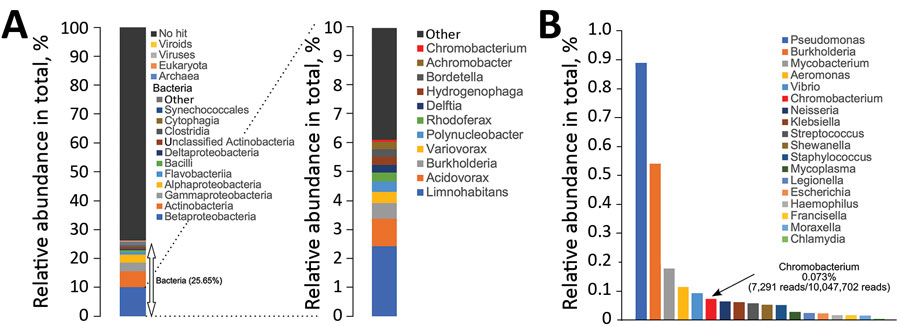 Metagenomic analysis of river water sample collected from the site of near-drowning of a patient with Chromobacterium haemolyticum pneumonia, Japan. A) Relative abundance of superkingdom, class of bacteria, and genus of betaproteobacteria in river water sample. The relative abundance of bacteria is 25.65%; the 10 most observed class and genus are summarized in cumulative bar charts. B) Comparison of relative abundance of bacteria causing pneumonia associated with drowning in genus level in the r