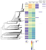Thumbnail of Phylogenetic tree of Neisseria gonorrhoeae isolates from England and the United States in a study of antimicrobial susceptibility, 2013–2016, including metadata for study type, MICs for ceftriaxone and cefixime, and presence of penA-34 alleles. We sequenced 1,277 isolates; 1,114 isolates were from the United States. 