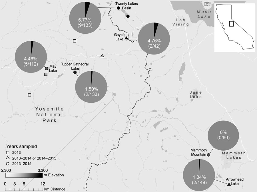 Minimum Yersinia pestis infection prevalence in fleas harbored by Tamius speciosus and T. alpinus chipmunks, by study site, Sierra Nevadas, California, 2013–2015. We visited sites for different numbers of years: 1 study year (2013 only), 2 study years, or all 3 study years. Plague prevalence was zero in 2013 and 2014, and map shows plague prevalence only in 2015. Pie charts show percentage of minimum infection prevalence (no. Y. pestis DNA–positive pools/no. fleas in pools tested). Sites without