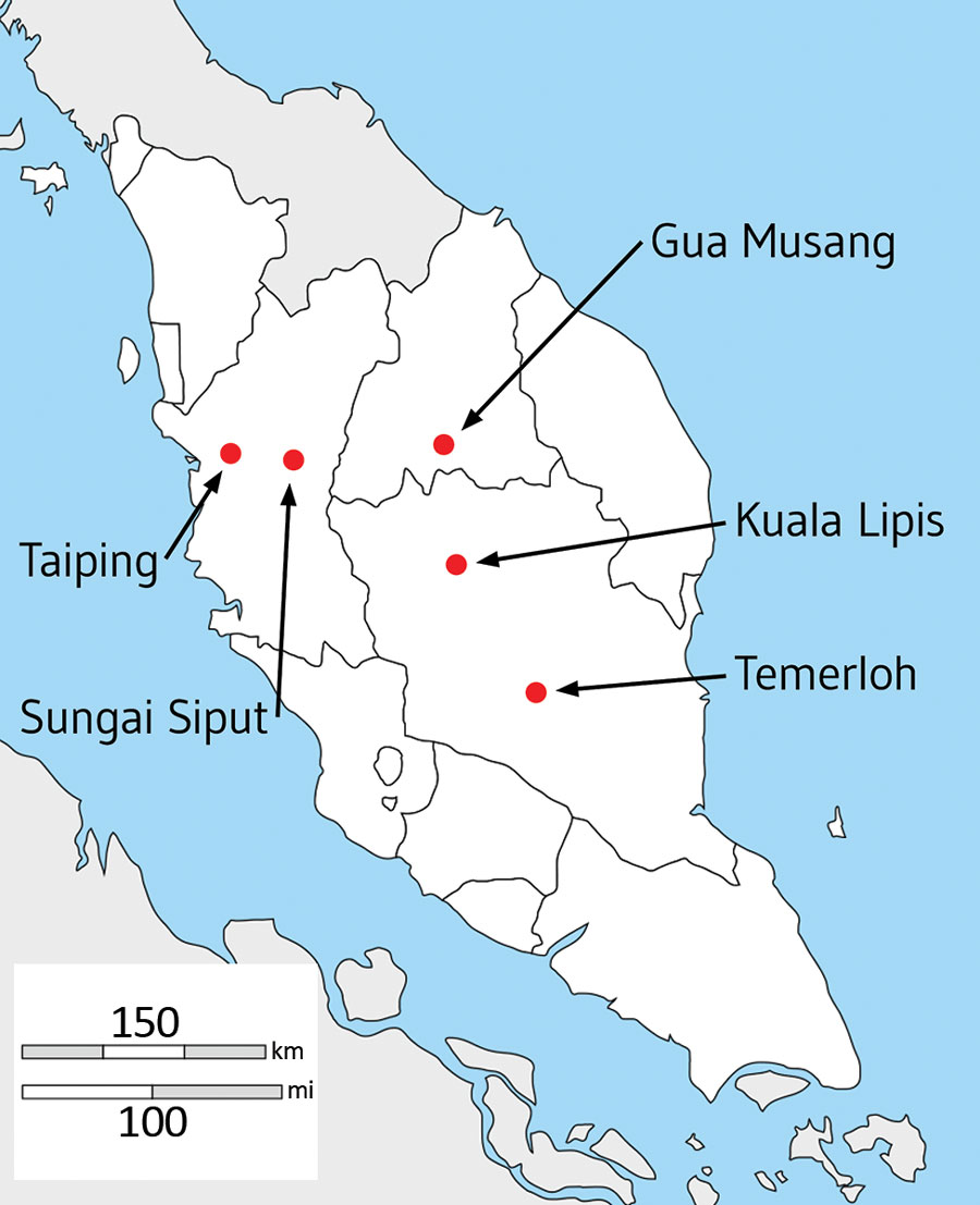 Locations of hospitals in peninsular Malaysia from which clinical Plasmodium knowlesi infections were sampled and sequenced in the states of Perak (Taiping and Sungai Siput), Kelantan (Gua Musang), and Pahang (Kuala Lipis and Temerloh). Of 56 infection samples processed through leukocyte depletion and subsequent DNA extraction, 32 had sufficient quantity and purity of P. knowlesi DNA for Illumina sequencing (https://www.illumina.com), of which 28 yielded high coverage genomewide sequence for pop