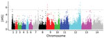 Thumbnail of Scan for evidence of genomic regions affected by recent positive directional selection in Plasmodium knowlesi in Peninsular Malaysia, using the standardized integrated haplotype score |iHS| index. Examination of the ranges of extended haplotype homozygosity for individual single-nucleotide polymorphisms (SNPs) with high |iHS| values identified 4 distinct genomic windows of extended haplotypes (Appendix 2 Datasheet 3). Two of these (in chromosomes 1 and 9) spanned across SICAvar and 