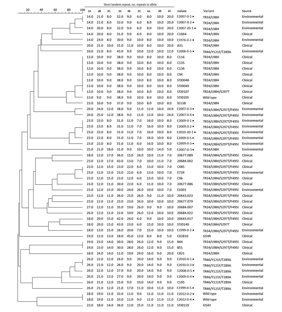 Genotypes of 21 azole-resistant Aspergillus fumigatus isolates obtained from farm soils in China, 2018 (black dots), and other azole-resistant A. fumigatus isolates from China. This dendrogram was constructed on the basis of a categorical analysis of 9 microsatellite markers (short tandem repeats 2A–4C) by using the UPGMA. Scale bar indicates percentage identity.