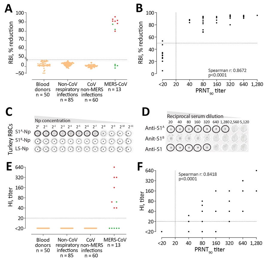 MERS-CoV–specific RBI and HI assays for MERS-CoV human diagnostics. A) Validation of the specificity of the RBI assay for the detection of MERS-CoV–specific antibodies in humans. Red dots indicate severe illness. Green dots indicate mild illness. B) Correlation between neutralizing and RBI antibody responses after MERS-CoV infection. C) Hemagglutination of turkey erythrocytes using S1A-nanoparticles. S1A-, S1B-, or empty self-assembling lumazine synthase nanoparticles were serially diluted and t