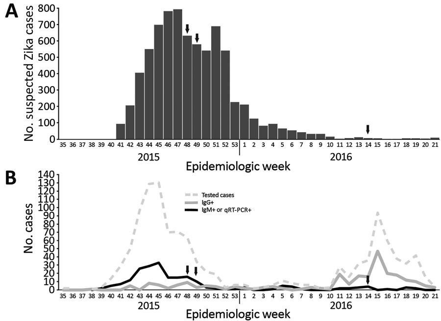 Suspected Zika cases, cases tested for Zika virus (ZIKV) infection, ZIKV antibody–positive cases, and ZIKV RNA–positive cases, Cape Verde, 2015–2016, by epidemiologic week. A) Cases of suspected ZIKV infection (n = 7,580) (9). B) Cases tested for ZIKV infection, ZIKV antibody–positive cases, and ZIKV RNA–positive cases. Only 1,226 of 7,580 cases of suspected ZIKV infection are included among those tested for ZIKV infection. In addition, some patients with fever only or rash only who did not fit 