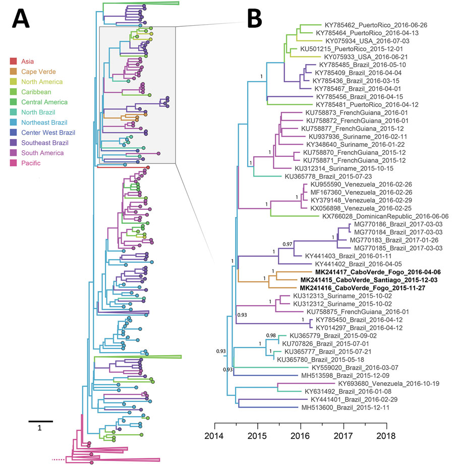 Maximum clade credibility phylogenetic tree demonstrating migration history of Zika virus (ZIKV) Asian lineage, 2014–2018. A) Phylogeny of 459 ZIKV isolates. The tree base was removed for ease of presentation. Tips of tree are colored according to their sampling location and branches according to their most probable geographic location. Note that sequences from the 2016 Angola outbreak (23) were published during the later stages of preparation of this manuscript and therefore were not included i
