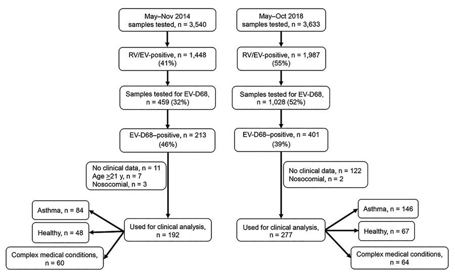 Sample and patient selection for investigation of EV-D68 outbreaks, Columbus, Ohio, USA. Viral testing was conducted at Nationwide Children’s Hospital Department of Pathology. During May–November 2014, a total of 3,540 samples underwent viral testing, of which 41% tested positive for RV/EV by a single or multiplex PCR. Four hundred fifty-nine samples were selected randomly on the basis of availability, integrity, and amount of specimen, of which 44% were positive for EV-D68. During May–October 2
