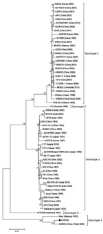Thumbnail of Phylogenetic tree of Japanese encephalitis virus genotypes 1–5, South Korea. Entire open reading frame is shown. Bootstrap probabilities (values along branches) of each node were calculated by using 1,000 replicates. Branches showing quartet puzzling reliability &gt;70% can be considered well supported. Black circle indicates K15P38 strain from patient samples. Scale bar indicates nucleotide substitutions per site.