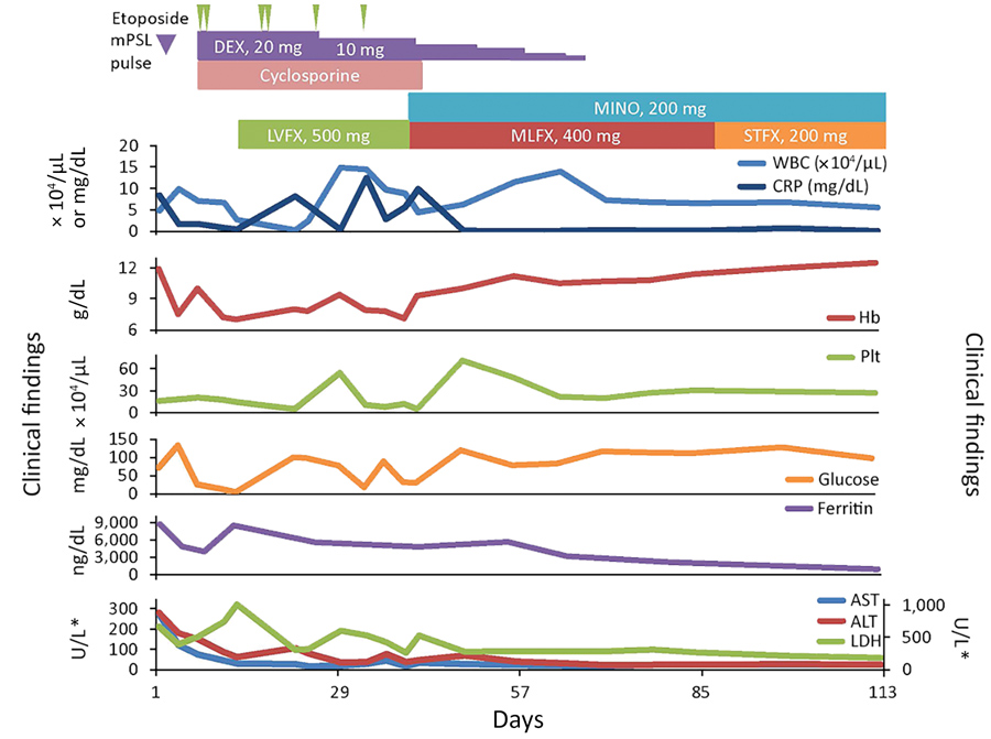 Clinical course for a 42-year-old man infected with Candidatus Mycoplasma haemohominis, Japan. *For ALT, AST, and LDH, left y-axis is for AST and ALT and right y-axis is for LDH. ALT, alanine aminotransferase; AST, aspartate aminotransferase; CRP, C-reactive protein; DEX, dexamethasone; Hb, hemoglobin; LDH, lactate dehydrogenase; LVFX, levofloxacin; MINO, minocycline; MLFX, moxifloxacin; mPSL, methylprednisolone; PLT, platelets; STFX, sitafloxacin; WBC, white blood cells.