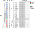 Thumbnail of Core genome multilocus sequence typing (cgMLST) phylogenetic tree of 40 Salmonella enterica serotype Anatum isolates, 2015–2019. The tree was constructed by using BioNumerics version 7.6 (Applied Maths, http://www.applied-maths.com). Isolate sources, collection years, and National Center for Biotechnology Information strain or isolate numbers are shown. For isolates from the United States, international travel destinations of patients and sources of imported foods are provided. Dark