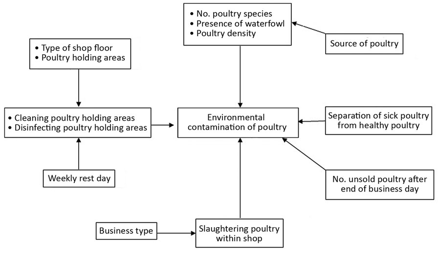 Conceptual framework for shop-level environmental contamination with avian influenza viruses in live bird markets, Bangladesh, March 2015.