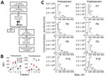 Thumbnail of Isolation and characterization of plasma-derived EVs. A) Schematic diagram of the isolation and characterization of EVs derived from plasma samples. The details of each step are explained in The Study section. B) EVs were characterized by BBA using the classical EV markers CD5L, CD9, and CD63. C) NTA of SEC fractions F7–10. BBA, bead-based assay; EV, extracellular vesicle; LC-MS/MS, liquid chromatography–tandem mass spectrometry; MFI, median fluorescence intensity; NTA, nanoparticle