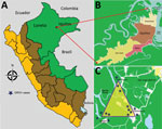 Thumbnail of Geographic distribution of patients with Guaroa virus infection, April–June 2014. A) Peru. B) Iquitos districts. C) District of San Juan. Stars indicates locations of Guaroa virus cases.