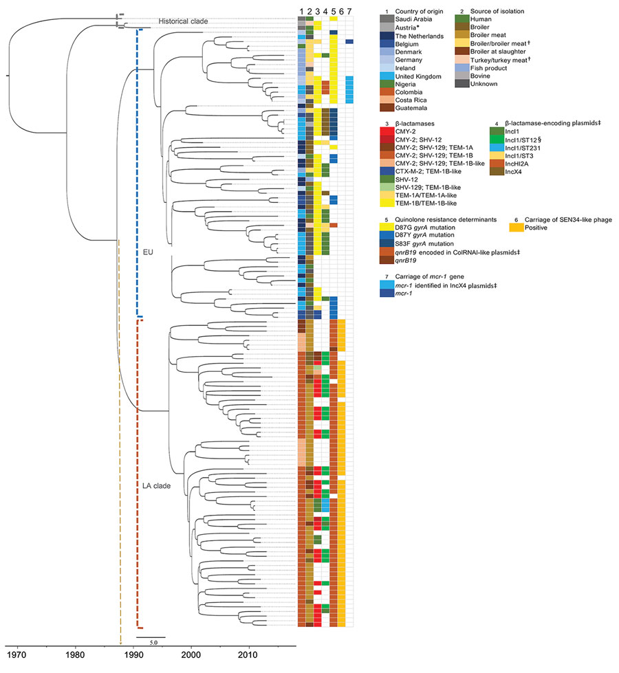 Phylogenetic time tree showing the separation between the historical, EU, and LA clades. Gray brackets indicate historical clades; blue brackets, EU clades; orange brackets, LA clades. Tips in the tree are aligned to the year of isolation of the strains. Nodes are dated in the x-axis as estimated by BEAST (43). Arrow indicates the node and year of separation between EU and LA clades around 1987. *Sample from a turkey imported from Israel. †Undefined sample material. ‡Plasmids are indicated when 