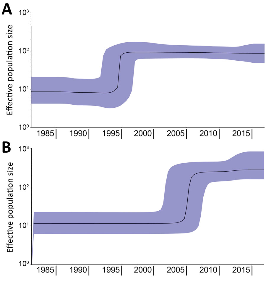 Bayesian skyline plots showing increase in effective population size of Salmonella enterica serovar Paratyphi B variant Java sequence type 28. Plots were made separately with strains originating from Europe (A) or Latin America (B). Emergence in Europe occurred in ≈1995 and in Latin America in ≈2005. Black lines indicate estimates of the median population over time; purple shading indicates 95% CIs.