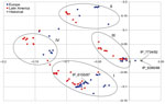 Thumbnail of Principal component analysis plot comparing plasmid composition (all plasmid contigs) of strains of Salmonella enterica serovar Paratyphi B variant Java sequence type 28. Oval rings indicate clusters I–IV. All clusters grouped strains from Europe and Latin America and were associated with IncI1 plasmids (cluster I), IncHI2 (cluster II), COLRNAI (cluster III), and combinations of IncI1 and IncHI2 plasmids (cluster IV).