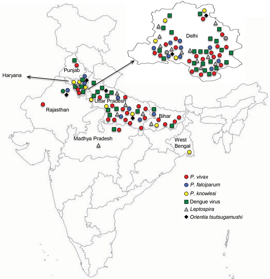 Locations of malaria patients with co-infections, India, July 2017–September 2018. Close-up view of Delhi state is provided.