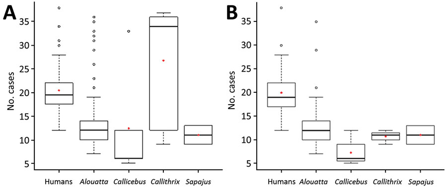 Distribution of Cq values for yellow fever for concordant and discordant cases (A) and cases in different New World primates and in humans (B), Brazil. Box plots indicate Cq values among the groups, indicated by the y-axes, minimum, first quartile, third quartile, and maximum Cq values. Horizontal bars indicate medians. Circles indicate outlier Cq values, and red diamonds indicate mean Cq values. Concordance was determined by using immunohistochemical analysis (lesions and viral antigen in hepatocytes).