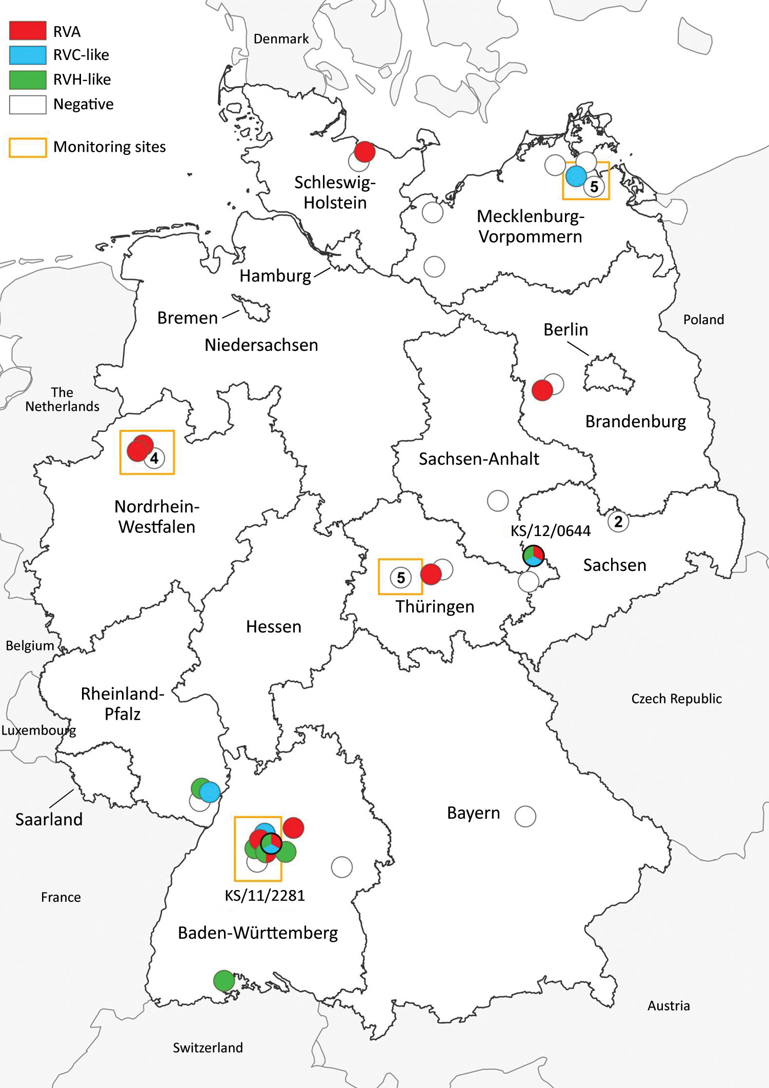 Distribution of common shrews (Sorex araneus) collected at monitoring sites (9) and additional sites (10) in Germany, 2004–2014, positive and negative for RVA, RVC-like, and RVH-like species by reverse transcription PCR. Numbers in white circles indicate the number of negative samples at that collection site; white circles without numbers indicate 1 negative sample at that site. Circles with multiple colors indicate animals with co-infections. The collection sites of the 2 samples analyzed in de