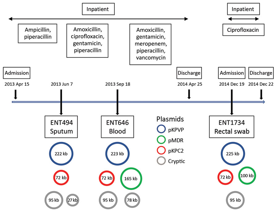 Timeline showing antimicrobial drug exposure and plasmid changes in 3 carbapenem-resistant hypervirulent Klebsiella pneumoniae isolates from patient A2, Singapore, 2013–2014. pMDR646 contains genes aac(6’)-lb-cr,blaOXA-1, qnrB1, catB3, and dfrA14. pMDR1734 contains genes aac(6’)-lb-cr,blaOXA-1, and catB3. pKPC2 contains genes blaKPC-2, blaTEM-1A, blaTEM-1B, and mph(A). KPC, Klebsiella pneumoniae carbapenemase; KPVP, Klebsiella pneumoniae virulence plasmid; MDR, multidrug resistance.