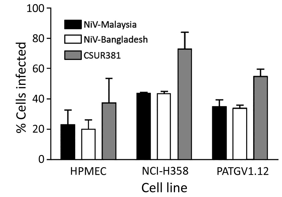 Evaluation of entry of VSVΔG-RFPs (vesicular stomatitis virus in which the envelope glycoprotein G gene is replaced with the red fluorescent protein gene) pseudotyped with the surface glycoproteins of NiVs CSUR381 (Cambodia 2003 isolate), UMMC1 (NiV-Malaysia isolate), and SPB200401066 (NiV-Bangladesh isolate) in different cell types. Infections of HPMEC, NCI-H358 (human bronchioalveolar cells), PATGV1.12 (bat cells), and Vero cells were performed at a multiplicity of infection of 0.3, and the pe