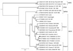 Thumbnail of Phylogenetic inference of Orthopoxvirus genus based on the A56R hemagglutinin gene. Nucleotide sequences of 829 bp representing the different species were aligned and used for Bayesian inference (Appendix). Black diamonds indicate previously reported sequences of VACV in Colombia; red diamond indicates sequence from the strain from the patient in this study (POX0009). GenBank accession numbers are provided for reference sequences. CPXV, cowpox virus; MPXV, monkeypox virus; VACV, vac