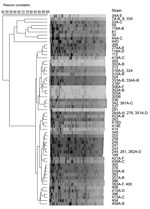 Thumbnail of Phylogenetic analysis of raccoon Escherichia albertii strains by pulsed-field gel electrophoresis (PFGE). XbaI-digested genomic DNA of 143 raccoon E. albertii strains isolated in this study were analyzed by PFGE. The dendrogram was constructed based on DNA fingerprints obtained (Appendix). The number in each strain name represents a specific raccoon identification number.