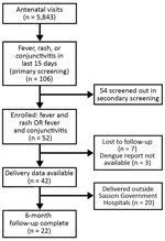 Thumbnail of Screening and enrollment flowchart for participation in an intensified short symptom screening program for dengue infection during pregnancy, India.