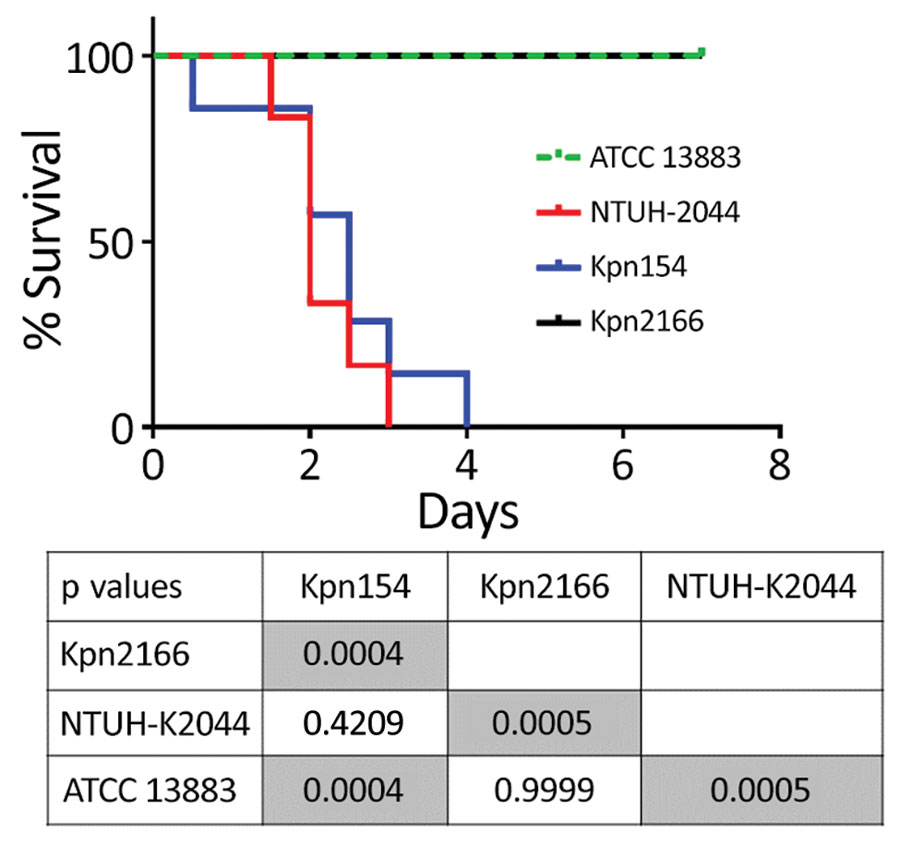 Kaplan–Meier survival curves of mice intraperitoneally challenged with Klebsiella pneumoniae strains Kpn154 and Kpn2166 from 2 patients in France, virulent strain NTUH-K2044, and nonvirulent ATCC 13883 strain, as previously described (10). Mice were injected with 103 CFUs and monitored for 96 h. p values were calculated from the Mantel-Cox log rank test for survival curve comparison. Gray shading indicates significant values. ATCC, American Type Culture Collection. 