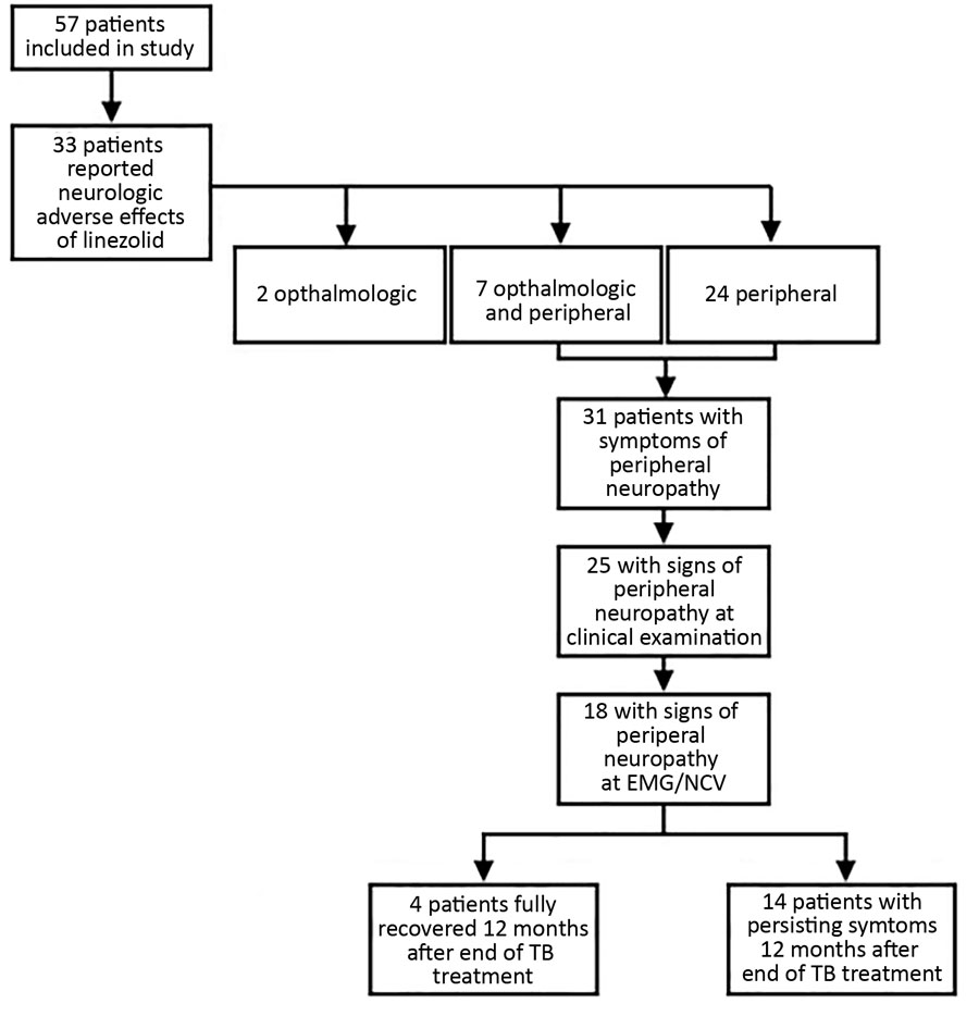 Peripheral neuropathy occurrence and evolution among the 57 patients who received linezolid for multidrug-resistant tuberculosis during 2011 and 2016, France. EMG, electromyelogram; NCV, nerve-conduction velocity testing; TB, tuberculosis.