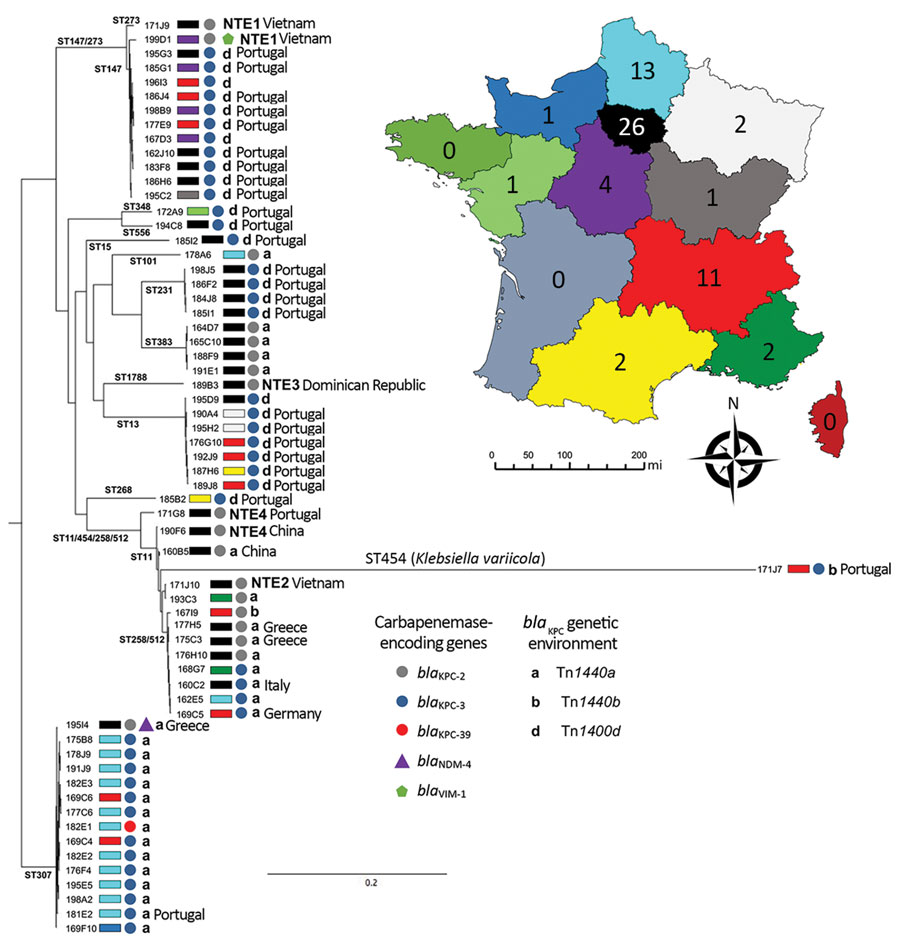 Phylogenetic analysis of Klebsiella pneumoniae carbapenemase–producing K. pneumoniae isolates, France, 2018. STs are indicated on the branches of the tree. Colored circles, triangles, or pentagons indicate carbapenemase type. Colored rectangles indicate region where isolates were recovered, as indicated on inset map; numbers on map indicate number of isolates. Genetic context indicated by isoform of Tn4401 or NTE. Labels indicate links with foreign countries. Scale bar on tree indicates the numb