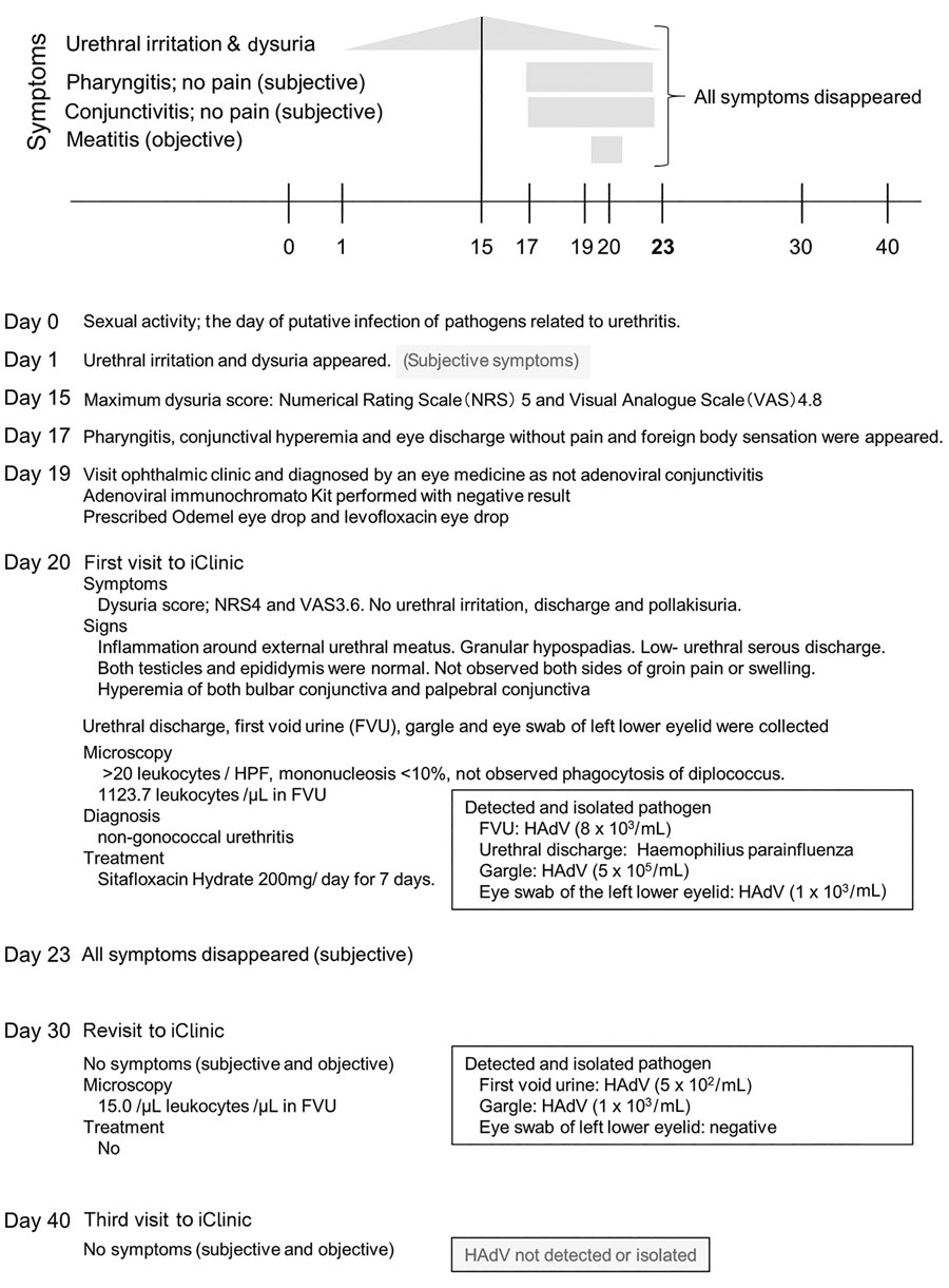 Clinical course and laboratory test results for patient with HAdV B7d–associated urethritis, Japan. HAdV, human adenovirus