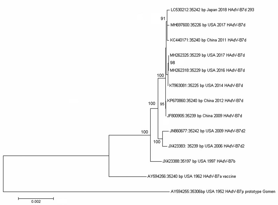Phylogenetic analysis of human adenovirus genome type 7 whole-genome sequencing in study of human adenovirus B7d–associated urethritis, Japan. We isolated 293 strain and compared it with other human adenovirus type 7 reference strains. We aligned genomic sequences using ClustalW (http://www.clustal.org) and constructed the neighbor-joining phylogenetic tree using MEGA version 7.0 software (https://megasoftware.net). Numbers at selected nodes indicate level of support using 1,000 bootstrap replic