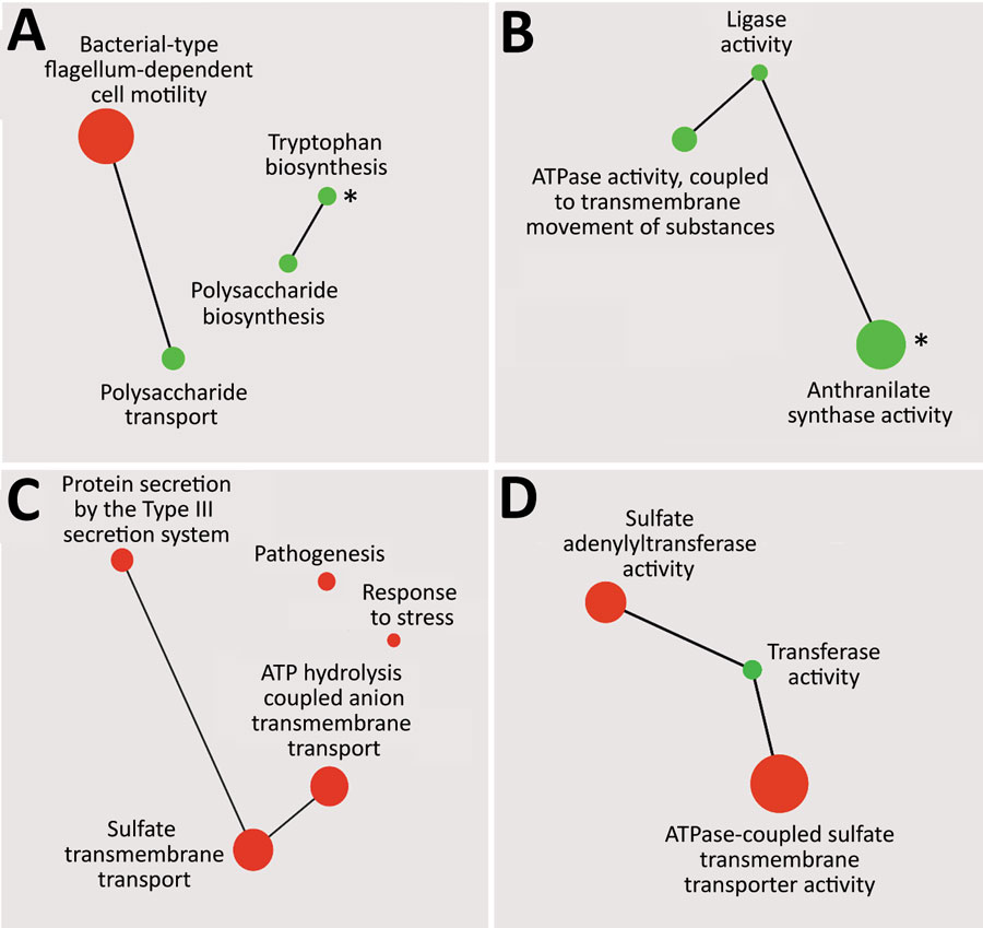 Gene ontology enrichment analysis of genes down-regulated or up-regulated between recent and historic strains of Bordetella pertussis from the Czech Republic (A, B) or between both groups of strains from the Czech Republic and Tohama I (C, D). Enriched terms from the domains’ biological process (A, C) and molecular function (B, D) and their catenations, shown as green circles (down-regulated genes) and red circles (up-regulated genes), were summarized by using Revigo (http://revigo.irb.hr) and visualized by using Cytoscape (https://cytoscape.org) as interactive scatter plots. Circle size indicates level of enrichment. Asterisks (*) in panels A and B indicate gene ontology terms that were enriched also for genes down-regulated in recent isolates compared with Tohama I.