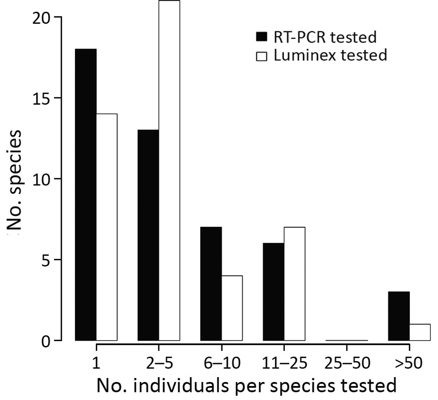 Abundance distribution of mammal species tested for Ebola virus and Sudan virus RNA using quantitative RT-PCR and for antibodies against ebolaviruses using the Luminex assay (Luminex Corporation, https://www.luminexcorp.com), for the set of specimens sampled in and around Kaigbono (Likati Health Zone, the Democratic Republic of the Congo) in 2017 that were determined to the species level. Each successfully tested environmental fecal sample is assumed to represent a single Eidolon helvum bat spec