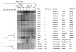 Dendrogram and pulsed-field gel electrophoresis (PFGE) typing of XbaI-restricted Klebsiella pneumoniae strains from captive marmosets in investigation of a fatal epizootic caused by highly virulent K. pneumoniae sequence type 86 in Brazil, 2019. PFGE profiles were defined based on 100% Dice similarity cutoff value of the UPGMA clustering method (1.5% optimization; 1.5% tolerance). The Universal Size Standard Strain H9812 (Salmonella Braenderup) was used as reference in all gels. NA, not applicable.