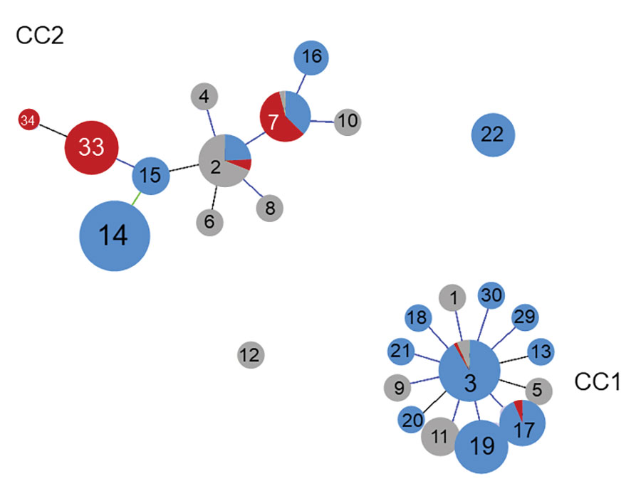 Relationships between CCs and STs for Mycoplasma pneumoniae isolates determined by goeBURST (http://www.phyloviz.net), Japan. Data were obtained from isolates including 470 strains from Japan during 2002–2019 and 62 strains isolated in the United Kingdom, the United States, China, and France. Blue circles indicate isolates from Japan during 2002–2016; red circles indicate isolates from Japan during 2018–2019; and gray circles indicate isolates from the United Kingdom during 1967–2010, the United