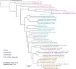 Maximum-likelihood phylogeny of Burkholderia pseudomallei isolates from patients and the environment in the US Virgin Islands and reference isolates available in GenBank from other countries in the Americas, Africa, and the Caribbean.