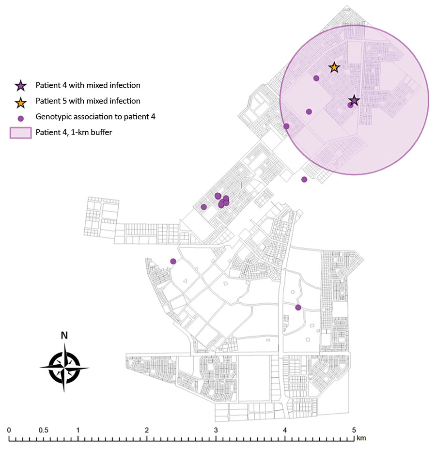 Potential spatial relationships (residence within 1 km of another patient) between mixed infection and other genotype-clustered cases, Ghanzi, Botswana, 2012–2016. Shown are locations of patients with mixed Mycobacterium tuberculosis infection and other genotype-clustered cases. Each color represents each genotype cluster. The 1-km radius blue-shaded area from each mixed infection patient shows the neighborhood boundary. Two patients with mixed infection were genotype-clustered and had a potenti