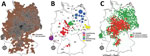 Thumbnail of Characteristics of the geographic distribution of the raccoon roundworm (Baylisascaris procyonis). A) Geographic origin of 8,184 dissected raccoons and the German administrative districts (Landkreise) in which raccoons were harvested during 2017–2018. Dots indicate sampling sites. B) Population genetic structure of raccoons in Germany and Luxembourg. Reanalysis of the dataset by (5) but including 26 raccoons from Luxembourg (genotyped following [5]) and omitting animals from the cit