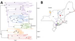 Thumbnail of Maximum-likelihood whole-genome phylogeny and geographic location of rabies virus variants, northeastern United States and Canada, 2016–2017, including the rabid raccoon (green triangle), river otter (green diamond), and cat (purple square) found in raccoon rabies virus–free zones, Nassau and Suffolk Counties, Long Island, New York, USA . A) Midpoint-rooted, maximum-likelihood sequence analysis depicts the relationships among variants collected from New York, New Jersey, Massachuset