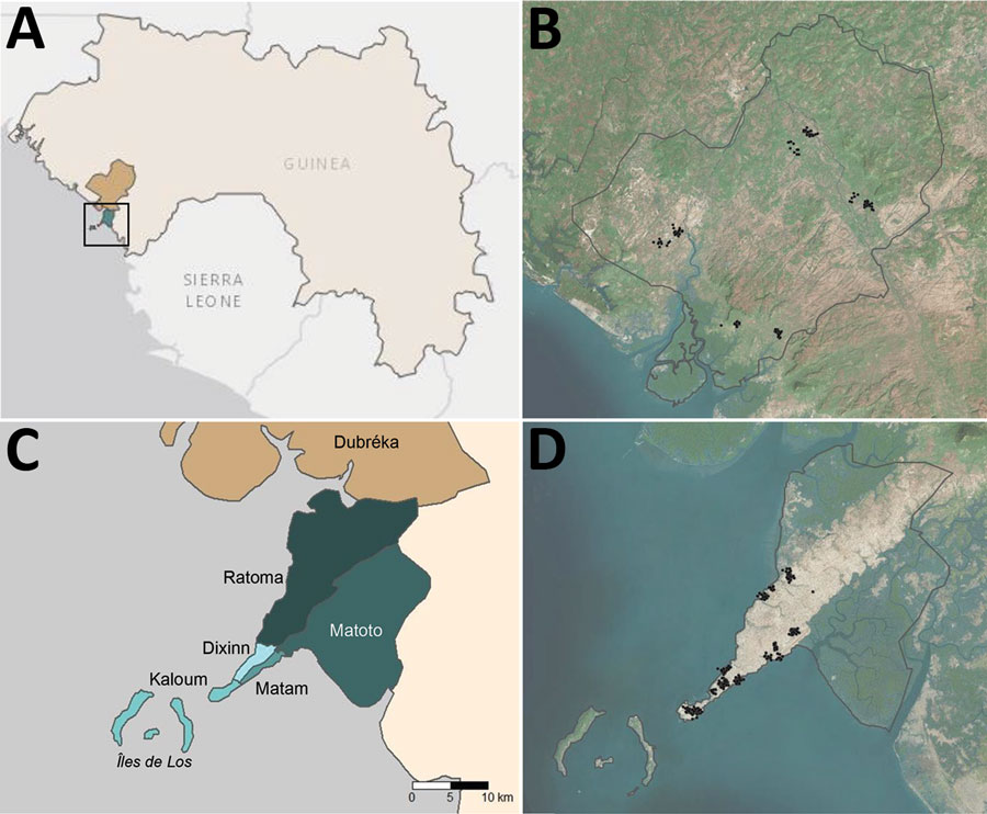 Administrative boundaries and location of communities visited as part of an epidemiologic–entomologic survey in Conakry and Dubréka, 2018. A) The positions of study sites are shown within the context of West Africa specifically Guinea. Turquoise area denotes Conakry and khaki Dubréka. Black square represents boundaries of the area depicted in panel B. B) Satellite imagery of Dubréka (outlined in black) and surrounding areas, with participating households shown as black points. C) Locations of 5 administrative communes within Conakry are shown in shades of turquoise; Dubréka is colored khaki. D) Satellite imagery of Conakry (outlined in black) and surrounding areas, with households participating in the survey shown as black points. Global positioning system coordinates of households were jittered for confidentiality before mapping in both (B) and (D).