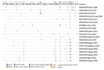 Thumbnail of Protein sequence variations among human adenovirus type 55 strains for study of virus distribution, regional persistence, and genetic variability. Protein sequences were concatenated and aligned. Amino acid differences compared with the consensus were visualized with Highlighter software (https://www.hiv.lanl.gov/content/sequence/HIGHLIGHT/highlighter_top.html). Redundant sequences are not shown. The locations of proteins and variant amino acid residues are shown at top. GenBank acc