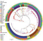 Phylogenetic analysis of New Zealand Neisseria meningitidis isolates, 2013–2018. Maximum-likelihood phylogeny was constructed by using a generalized time reversible substitution model and core single-nucleotide polymorphism alignments with RAxML version 8.2.12 (33). Branches with >90% bootstrap consensus (200 bootstrap replications) are highlighted with a red dot. Isolate names and clades are colored according to their clonal complex designation. The inner ring indicates the group and outer ring designates the year of isolation of the isolates. N1 lineage corresponds to sequence type that does not have clonal complex designation. NA corresponds to individual isolates where clonal complex is not assigned. Scale bar indicates average number of substitutions per site.