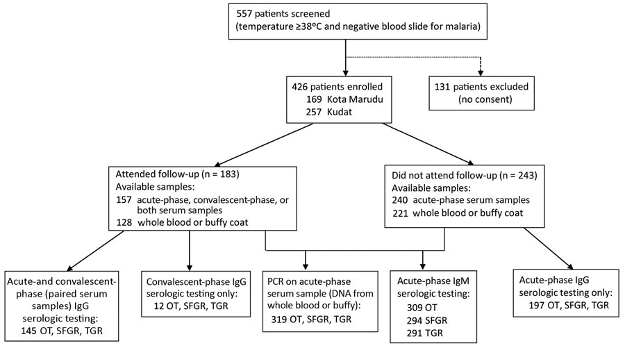 Enrollment flowchart and laboratory testing in a prospective cohort study of acute febrile illness attributable to rickettsioses, Sabah, East Malaysia, 2013–2015. OT, Orientia tsutsugamushi; SFGR, spotted-fever group rickettsiosis; TGR, typhus-group rickettsioses. 