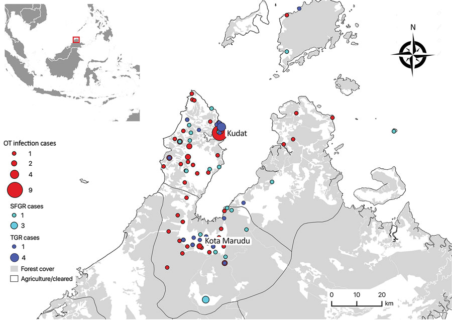 Village-level geographic distribution of confirmed acute and probable acute rickettsioses cases in a prospective cohort study of acute febrile illness attributable to rickettsioses, Sabah, East Malaysia, 2013–2015. Inset map shows study area in Sabah, Malaysia. OT, Orientia tsutsugamushi infection; SFGR, spotted-fever group rickettsiosis; TGR, typhus-group rickettsioses. 