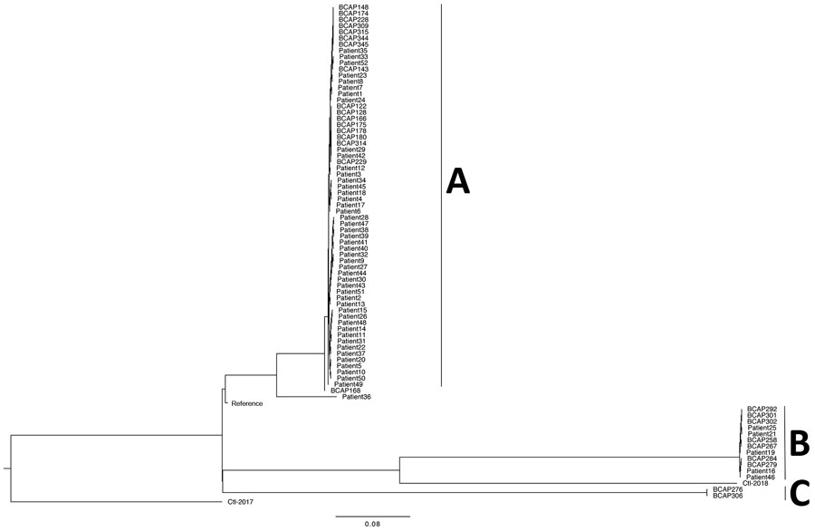 Maximum-likelihood phylogenetic tree of 80 Burkholderia cepacia complex isolates based on single-nucleotide polymorphisms, Hong Kong, China. A, B, and C indicate clusters. Scale bar indicates nucleotide substitutions per site.