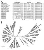 Thumbnail of ITS1-based molecular analysis of clinical isolates from cutaneous leishmaniasis (CL) patients, Himachal Pradesh, India, 2014–2018. A) Multiple sequence alignment of ITS1 microsatellite repeat sequences of representative parasite isolates from CL patients with those of L. donovani complex reference strains from different geographic regions. Sequences were aligned by using BioEdit sequence alignment program (https://bioedit.software.informer.com/7.2). B) Phylogenetic tree of ITS1 sequ