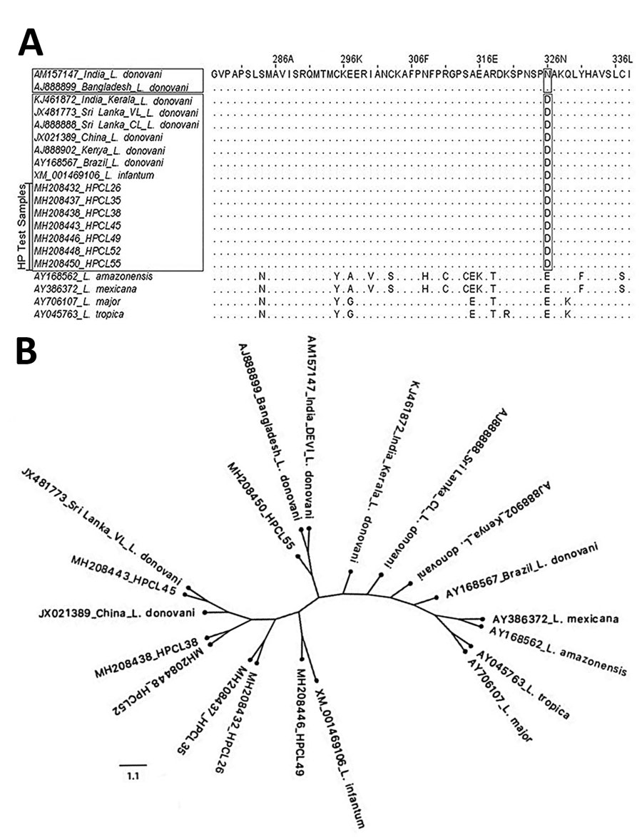 6PGDH-based molecular analysis of clinical isolates from cutaneous leishmaniasis (CL) patients, Himachal Pradesh, India, 2014–2018. A) Sequence alignment of partial 6PGDH amino acid of CL isolates exhibit replacement of asparagine (N) with aspartic acid (D) at position 326 analogous to visceral leishmaniasis–causing and CL-causing isolates from Sri Lanka. B) Phylogenetic tree for 6PGDH sequences from CL test isolates (designated as HPCL, numbered in order of their collection) and standard Leishm