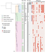 Maximum-likelihood tree demonstrating population structure of Staphylococcus aureus clonal complex (CC) 9 isolates from humans and livestock in North Carolina, USA, and reference sequences. A total of 81 S. aureus CC9 isolates from human and livestock specimens were included in this midpoint-rooted maximum-likelihood phylogeny based on 3,847 core genome single-nucleotide polymorphisms. S. aureus isolates belonged to 3 phylogeographically distinct clades (C1–C3). All the North Carolina collection isolates were included in C3. IEC genes are shown in columns 1, scn; 2, sak; and 3, chp. MRSA is shown in column 4. AMR genes are shown in columns 5, mecA; 6, tet(K); 7, tet(L); 8, tet(T); 9, erm(A); 10, erm(B); 11, erm(C); 12, vga(A)LC; 13, lnu(A); 14, lnu(B); 15, str; 16, spc; 17, aadD; 18, aac(6); 19, ant(6)-1a; 20, dfrG; and 21, dfrK. Scale bar indicates nucleotide substitutions per site. AMR, antimicrobial resistance; Chick, chicken; COO, country of origin; IEC, immune evasion cluster; MRSA, methicillin-resistant S. aureus; MSSA, methicillin-susceptible S. aureus; NA, not applicable. 